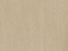 Interiérový obkladový panel Vilo MOTIVO Classic - Sandstone Beige