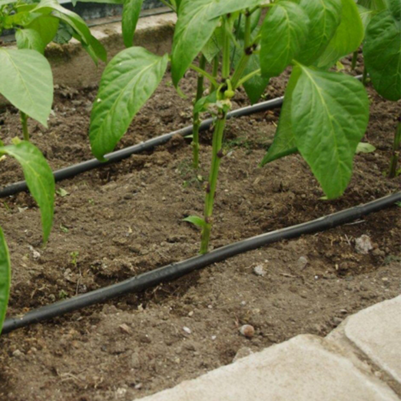 Kapkové zavlažování pro skleníky Drop - Rozměr: 6 m