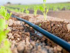 Kapkové zavlažování pro skleníky Drop