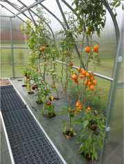 Zahradní skleník z polykarbonátu Gardentec Standard