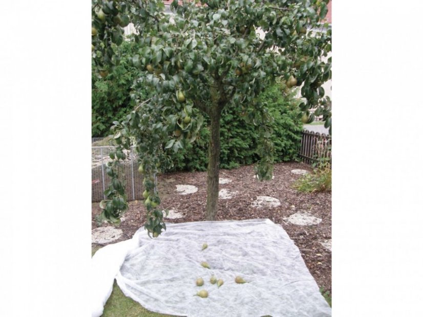 Netkaná Agro textílie Coverfol C17 - Rozměr: 10 x 1,6 m